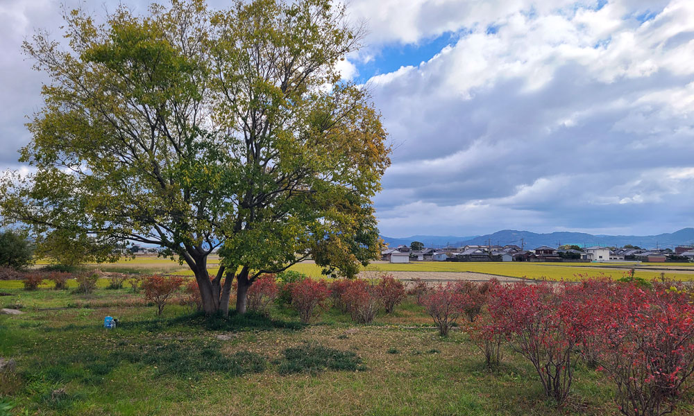 探検レポート412 探検レポート412